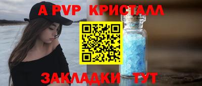 стаф Гай