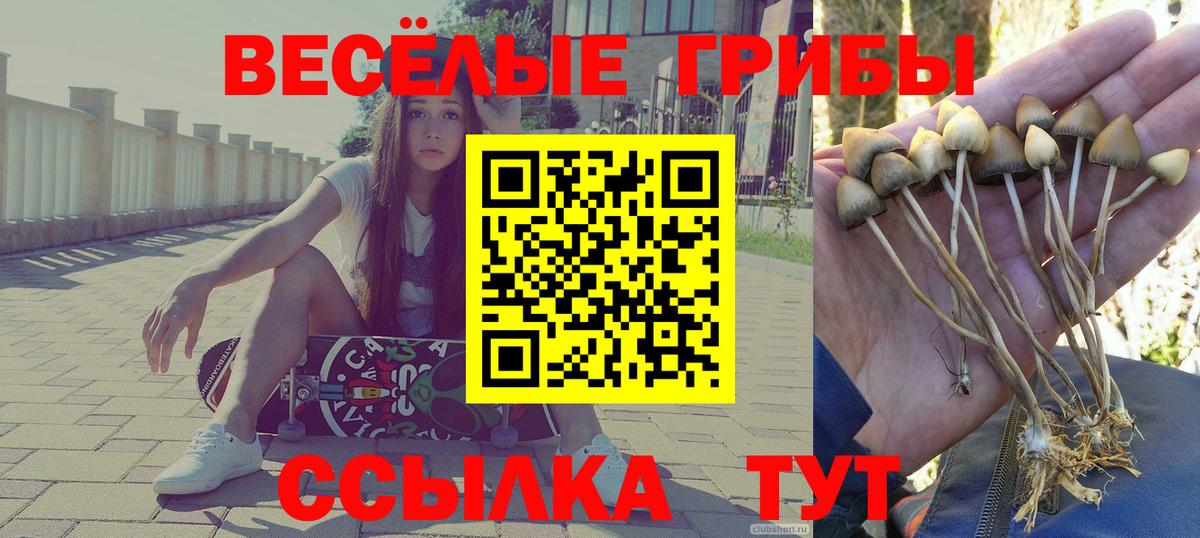 Галлюциногенные грибы GOLDEN TEACHER  Псилоцибиновые грибы GOLDEN TEACHER  Серов  Вход с VPN 
